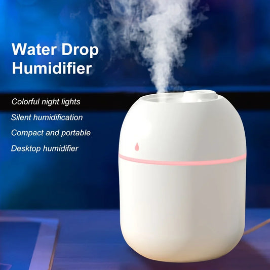 Portable humidifier